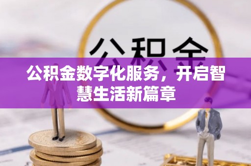 龙井公积金数字化服务，开启智慧生活新篇章