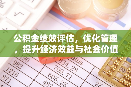 龙井公积金绩效评估，优化管理，提升经济效益与社会价值