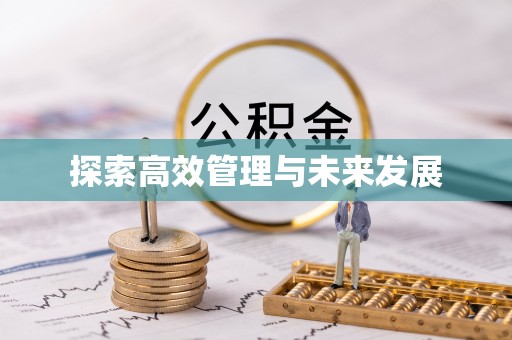 龙井探索高效管理与未来发展