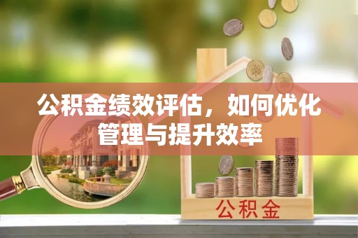 龙井公积金绩效评估，如何优化管理与提升效率