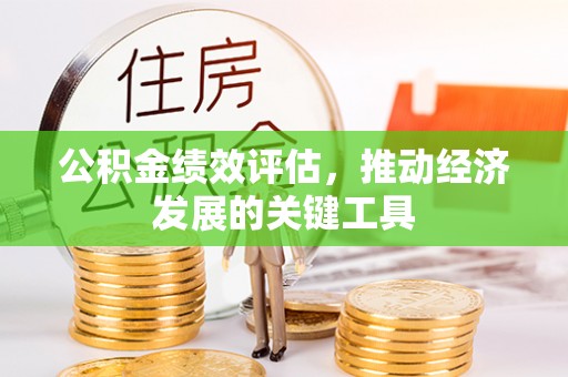 龙井公积金绩效评估，推动经济发展的关键工具