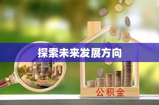 龙井探索未来发展方向