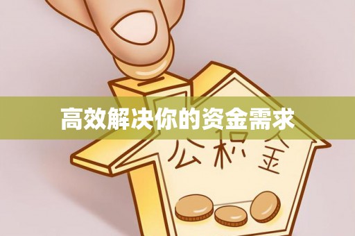龙井高效解决你的资金需求