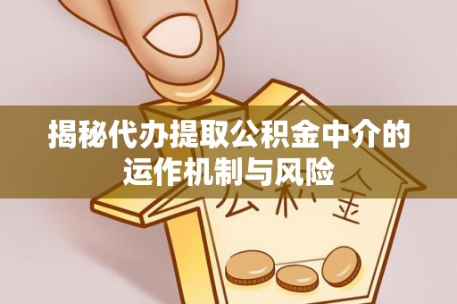 龙井揭秘代办提取公积金中介的运作机制与风险