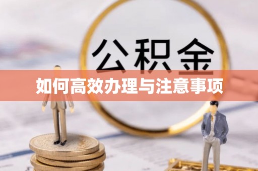 龙井如何高效办理与注意事项