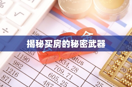 龙井揭秘买房的秘密武器