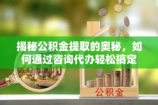 龙井揭秘公积金提取的奥秘，如何通过咨询代办轻松搞定