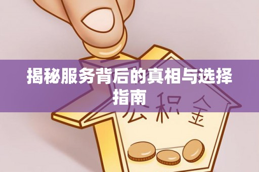 龙井揭秘服务背后的真相与选择指南
