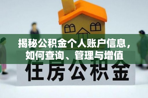 龙井揭秘公积金个人账户信息，如何查询、管理与增值