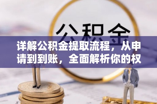龙井详解公积金提取流程，从申请到到账，全面解析你的权益与操作步骤