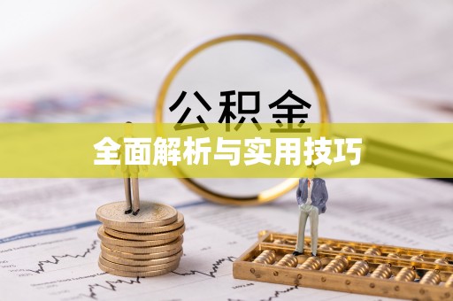 龙井全面解析与实用技巧