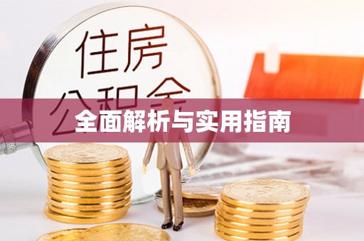 龙井全面解析与实用指南