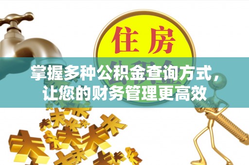 龙井掌握多种公积金查询方式，让您的财务管理更高效