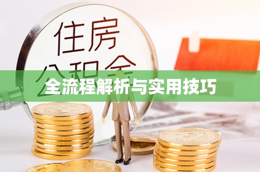 龙井全流程解析与实用技巧