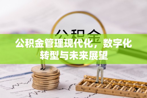 龙井公积金管理现代化，数字化转型与未来展望