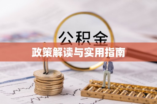 龙井政策解读与实用指南