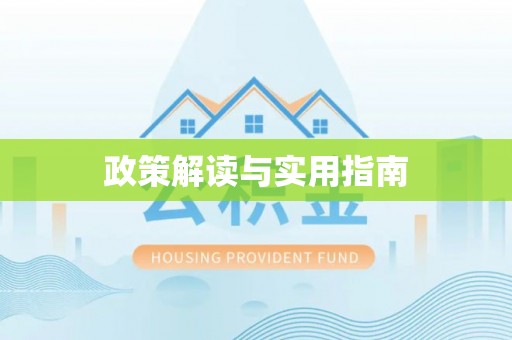 龙井政策解读与实用指南