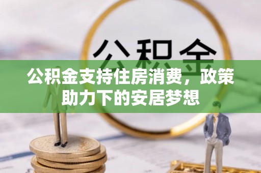龙井公积金支持住房消费，政策助力下的安居梦想