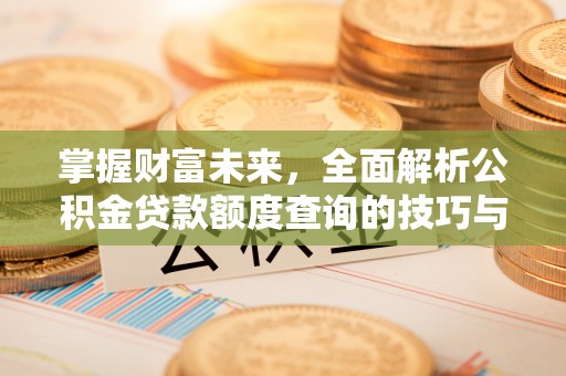 龙井掌握财富未来，全面解析公积金贷款额度查询的技巧与策略
