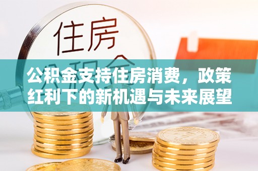 龙井公积金支持住房消费，政策红利下的新机遇与未来展望