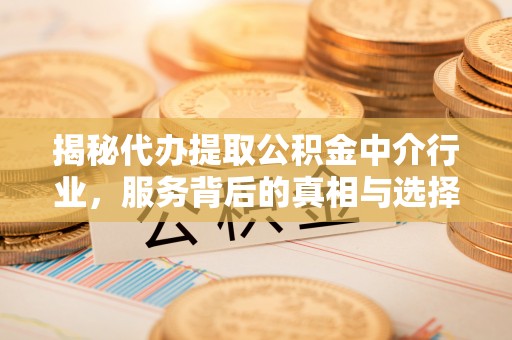 龙井揭秘代办提取公积金中介行业，服务背后的真相与选择指南