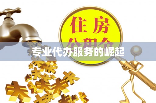 龙井专业代办服务的崛起