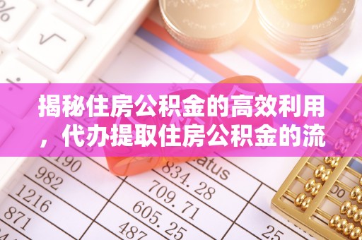 龙井揭秘住房公积金的高效利用，代办提取住房公积金的流程与技巧