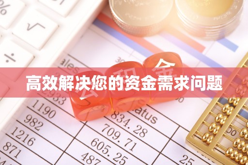 龙井高效解决您的资金需求问题