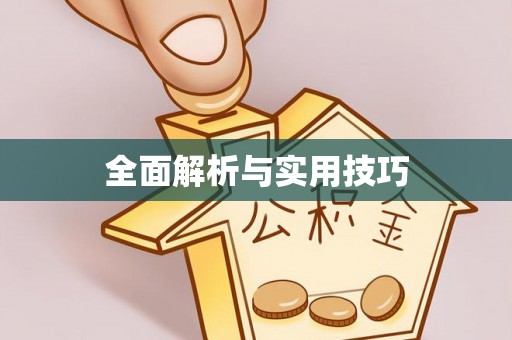 龙井全面解析与实用技巧
