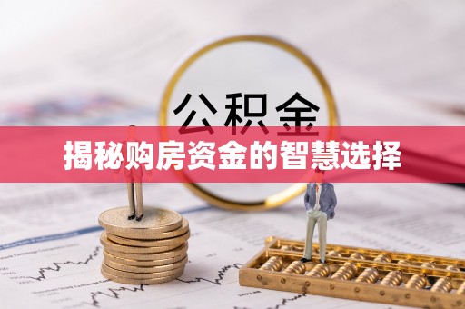 龙井揭秘购房资金的智慧选择