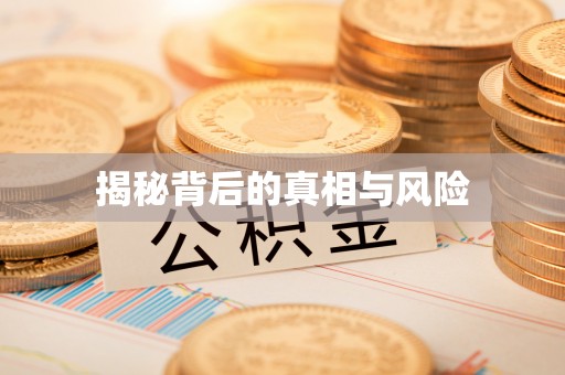 龙井揭秘背后的真相与风险