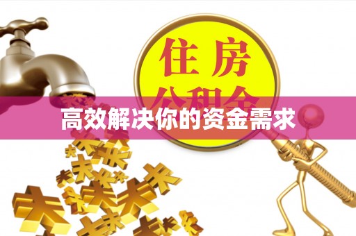 龙井高效解决你的资金需求