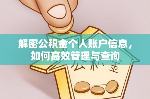 龙井解密公积金个人账户信息，如何高效管理与查询