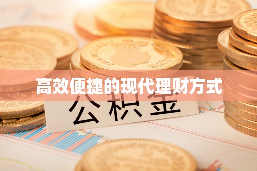 龙井高效便捷的现代理财方式