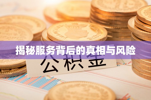 龙井揭秘服务背后的真相与风险
