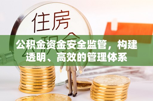 龙井公积金资金安全监管，构建透明、高效的管理体系