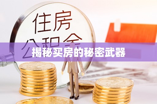 龙井揭秘买房的秘密武器