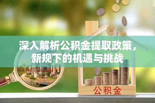 龙井深入解析公积金提取政策，新规下的机遇与挑战