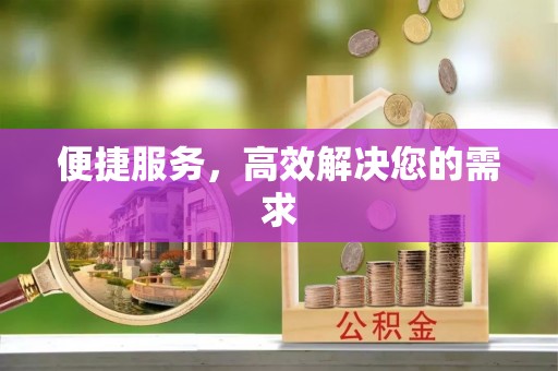 龙井便捷服务，高效解决您的需求
