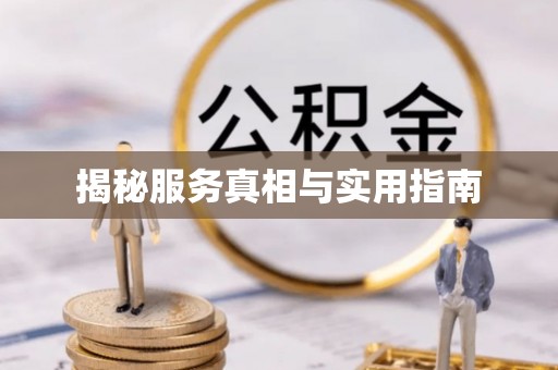 龙井揭秘服务真相与实用指南