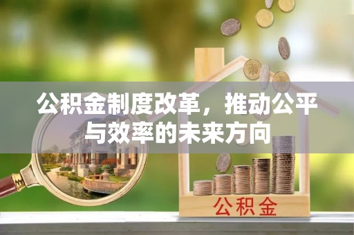 龙井公积金制度改革，推动公平与效率的未来方向