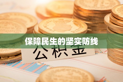 龙井保障民生的坚实防线