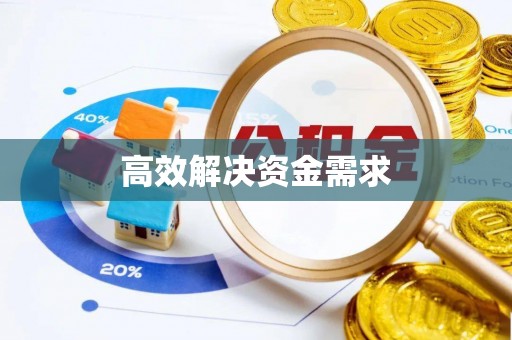龙井高效解决资金需求