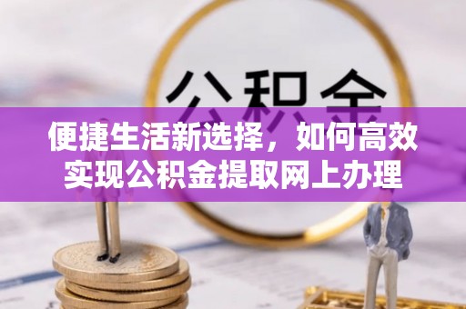 龙井便捷生活新选择，如何高效实现公积金提取网上办理