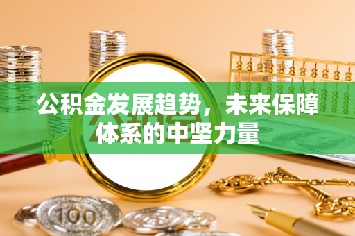 龙井公积金发展趋势，未来保障体系的中坚力量
