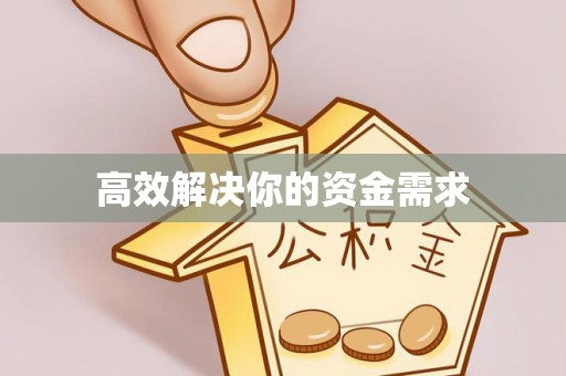 龙井高效解决你的资金需求