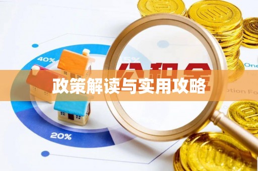 龙井政策解读与实用攻略