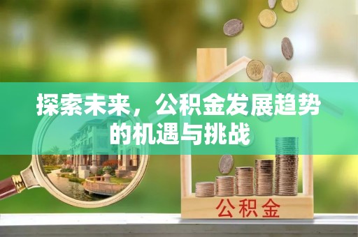 龙井探索未来，公积金发展趋势的机遇与挑战