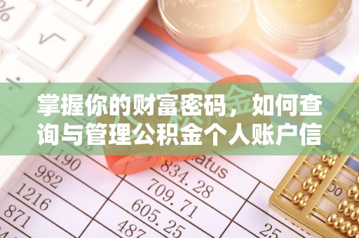 龙井掌握你的财富密码，如何查询与管理公积金个人账户信息