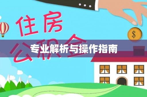 龙井专业解析与操作指南
